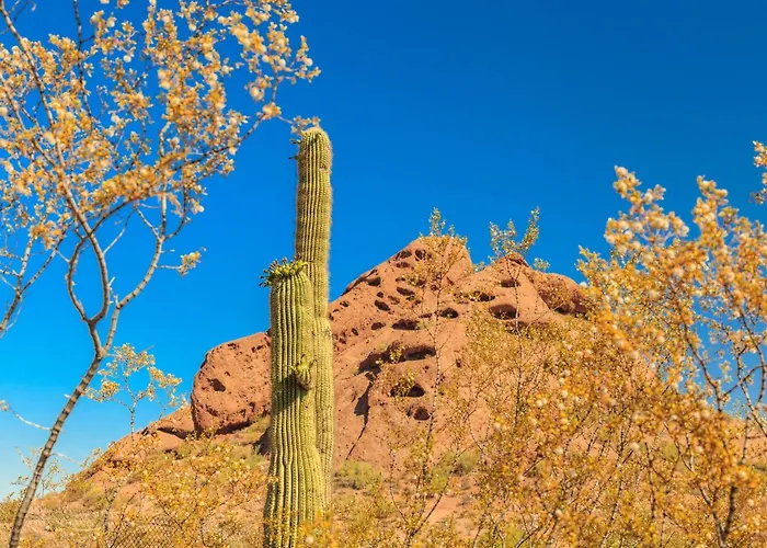 Grayhawk Scottsdale